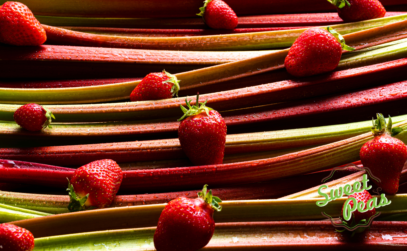 Fresh Strawberry Rhubarb Stalks